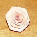 pink paper rose