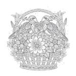 Adult Coloring Book Birds in Basket Picture