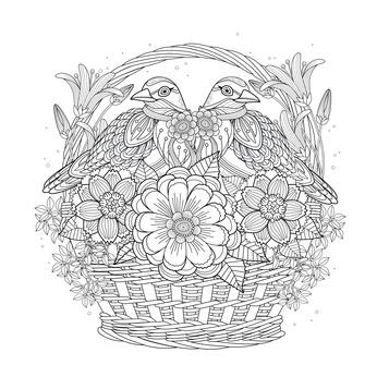 Adult Coloring Book Birds in Basket Picture